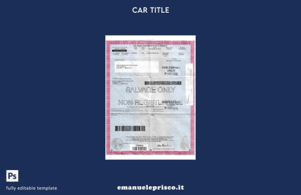 Certificato di salvataggio USA Illinois in stile verificato di un modello di vei